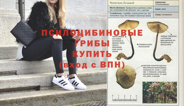 спиды Алексеевка