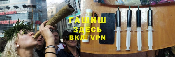 прущие грибы Аркадак
