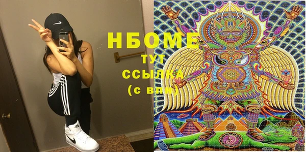 прущие грибы Аркадак