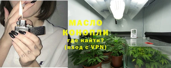 прущие грибы Аркадак